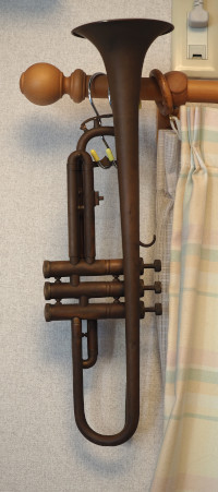 �����̃J�[�e�����[���ɒ݂邵��