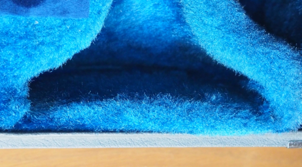 Side Front of the Case (After treatment)