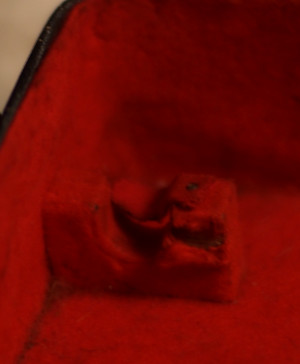 Inside of Trumpet Case(Mouthpiece Holder)