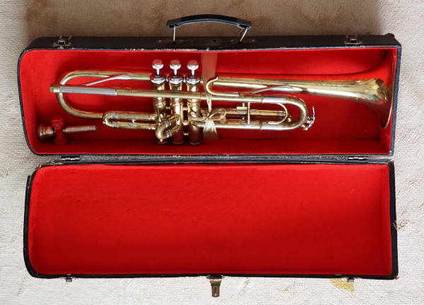 Trumpet in the case