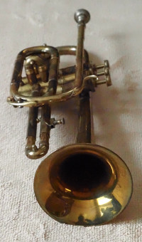TANABE Cornet(front)