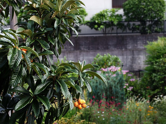 青の部屋［BLUE ROOM］