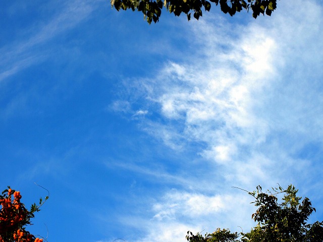 青の部屋［BLUE ROOM］