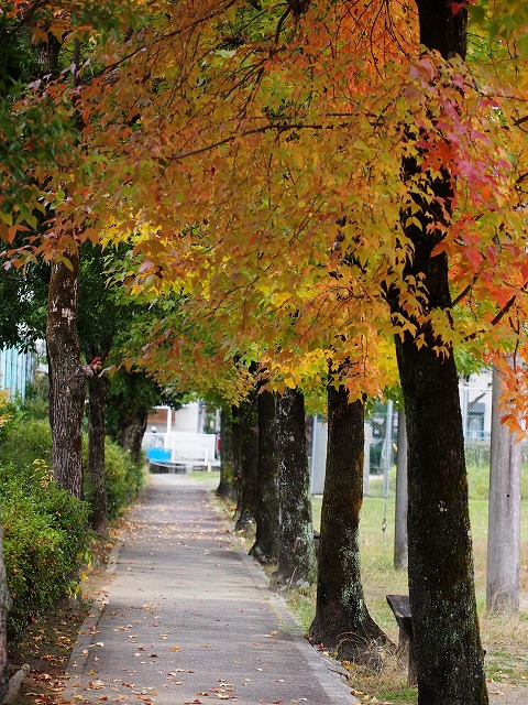 青の部屋［BLUE ROOM］