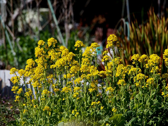 青の部屋［BLUE ROOM］