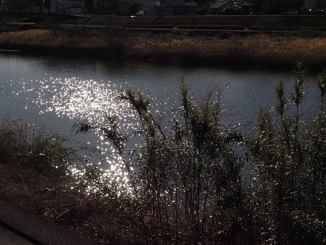 青の部屋［BLUE ROOM］