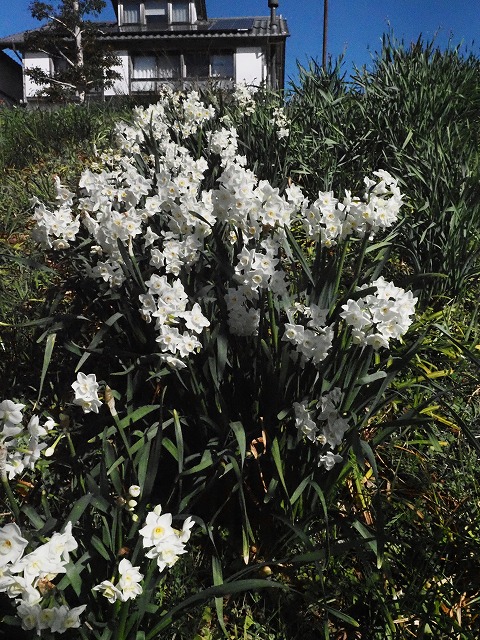 青の部屋［BLUE ROOM］