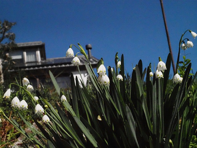 青の部屋［BLUE ROOM］