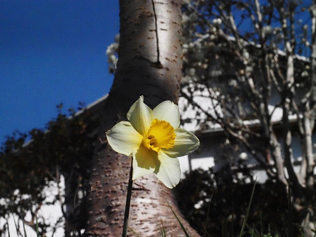 青の部屋［BLUE ROOM］