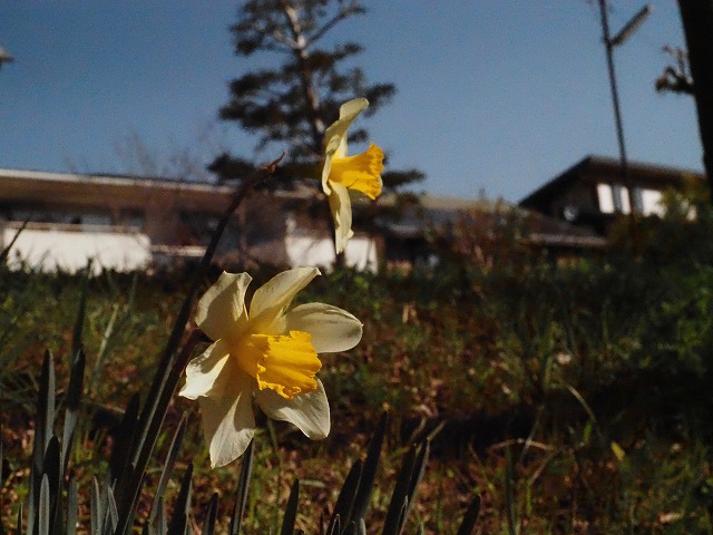 青の部屋［BLUE ROOM］