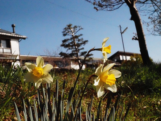 青の部屋［BLUE ROOM］