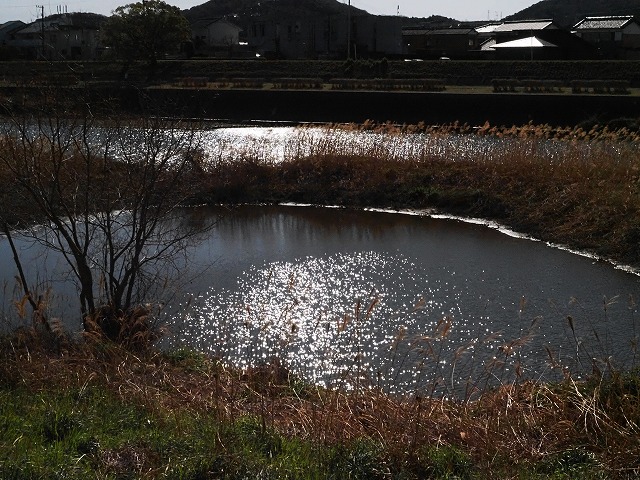 青の部屋［BLUE ROOM］