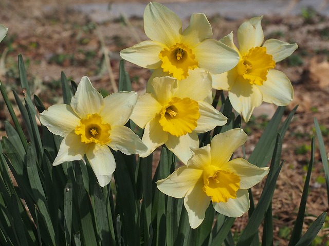 青の部屋［BLUE ROOM］